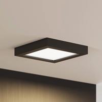 Prios Alette LED stropné svietidlo, čierne, CCT, 18 W