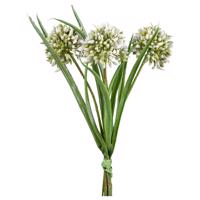 UMELÁ RASTLINA Allium I -Paz-