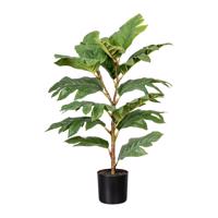 Umelá Rastlina Artocarpus I