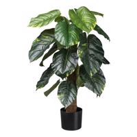 Umelá Rastlina Philodendron Scandes I